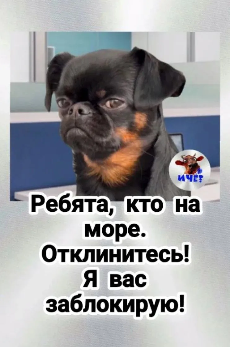 Тоже хочу на море, а не вот это вот всё!