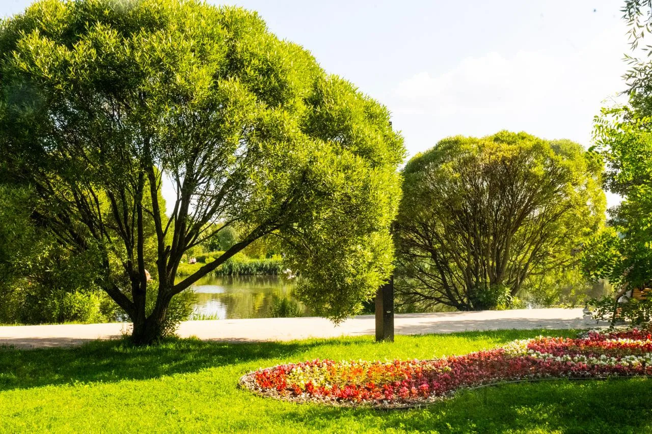 Доброе утро! ☀️

Сегодня среда - отличное время, чтобы набрать темп и двигаться к своим целям 💛

Аф