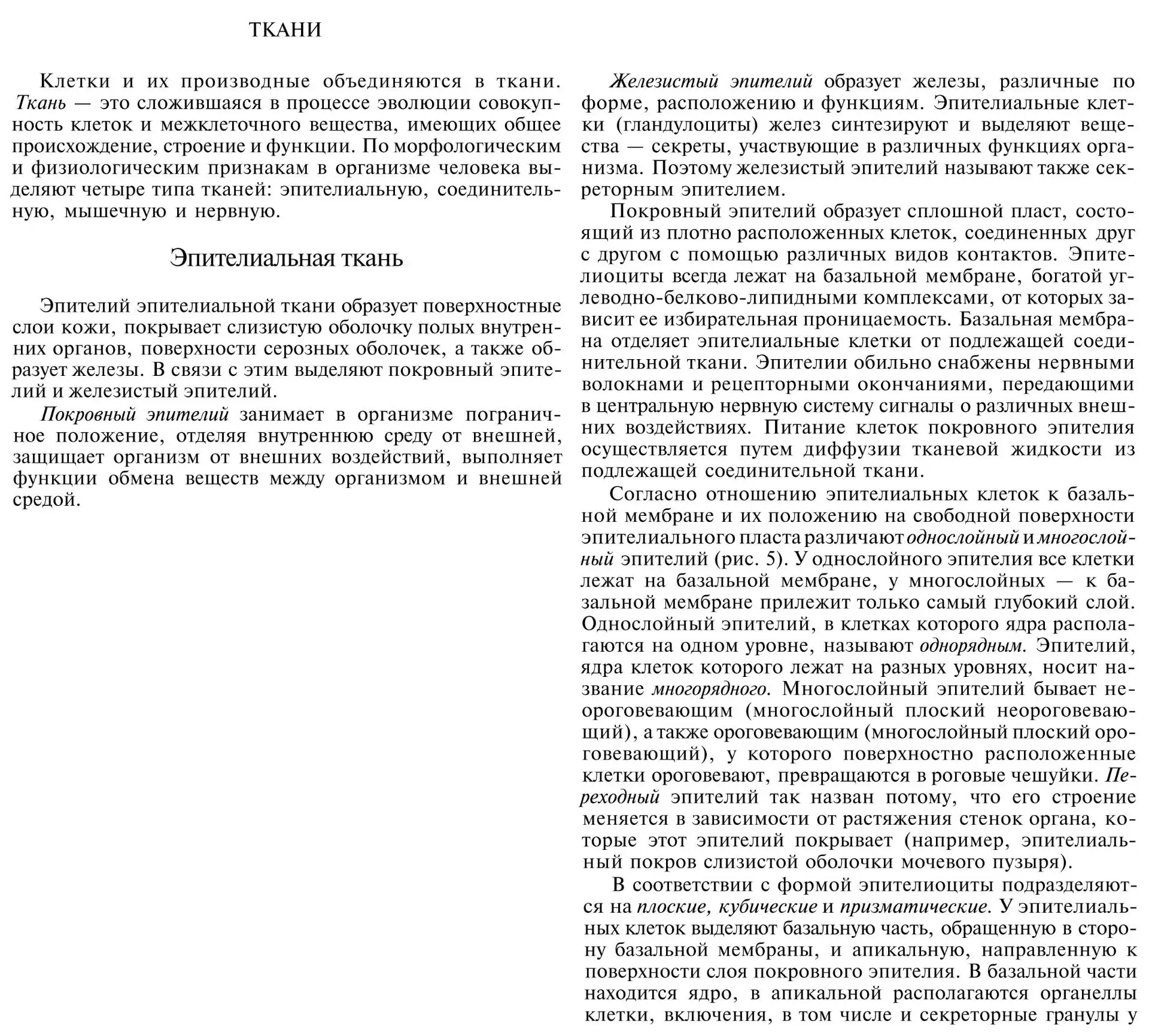 Эпителиальная и соединительная ткань
