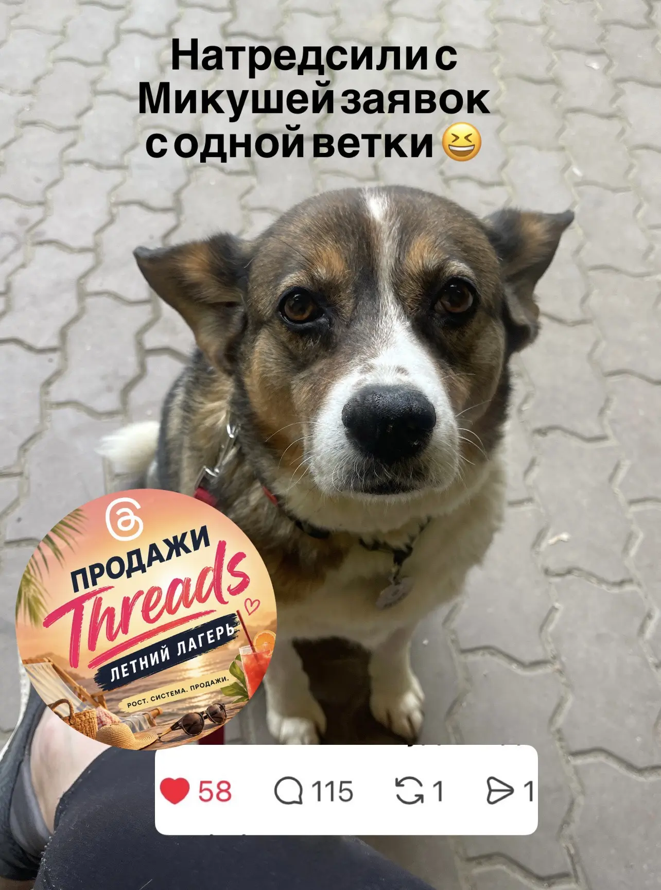 Микки сегодня на страже продаж путёвок в летний лагерь по Threads