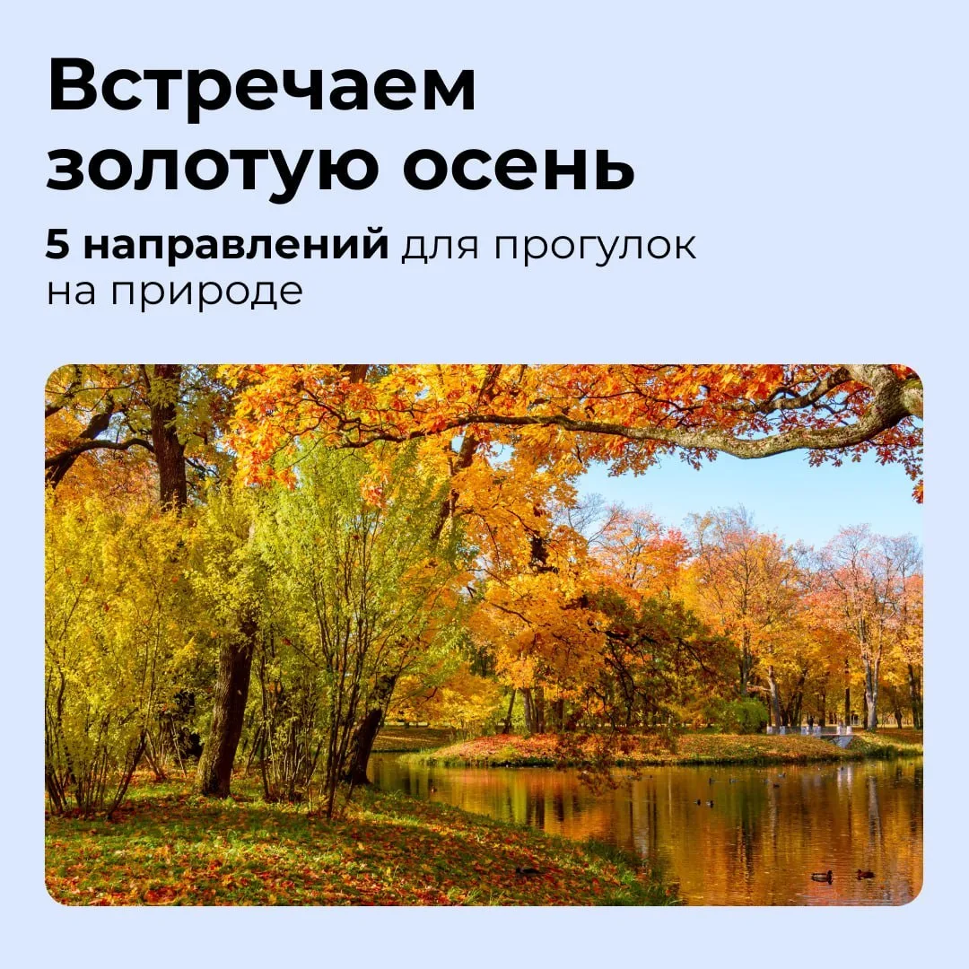 📸 Бабье лето — это подарок. И лучшее, что можно сделать, — отправиться за город с фото...