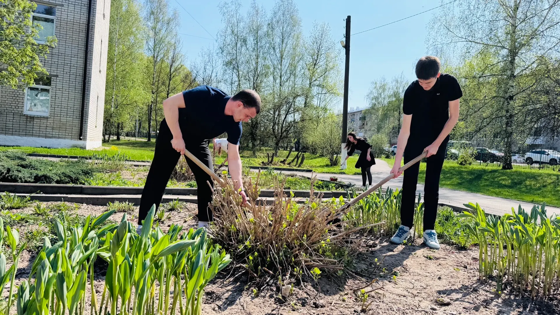 Новая жизнь школьных цветников🌸