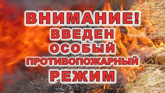 В соответствии с постановлением Правительства Нижегородской области от 30.04.2026 №176 ...