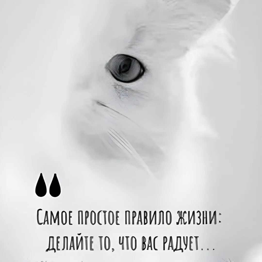 Изображение 1 к публикации «Красивые статусы | цитаты»