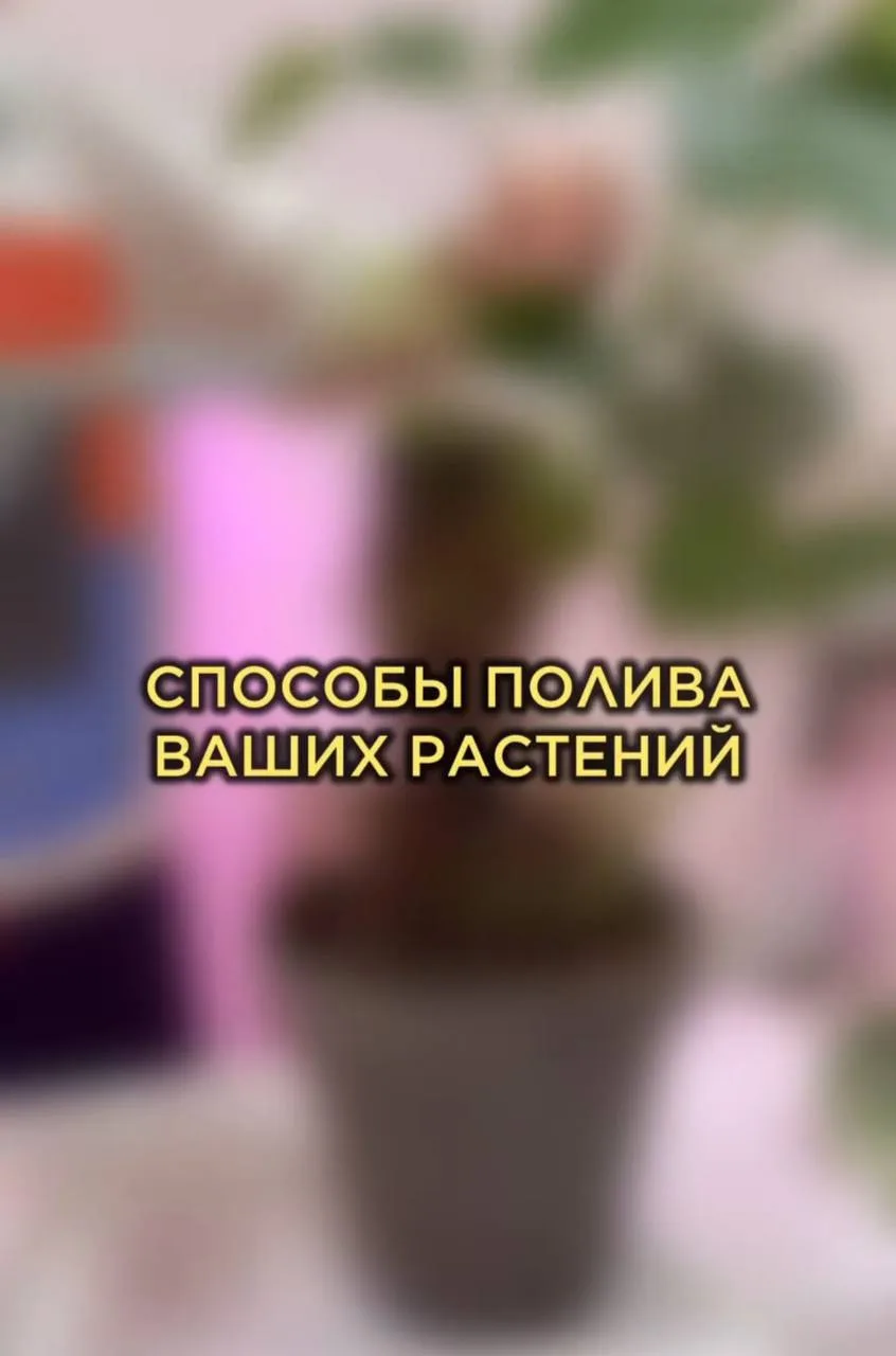 Неочевидные способы полива ваших растений 💦