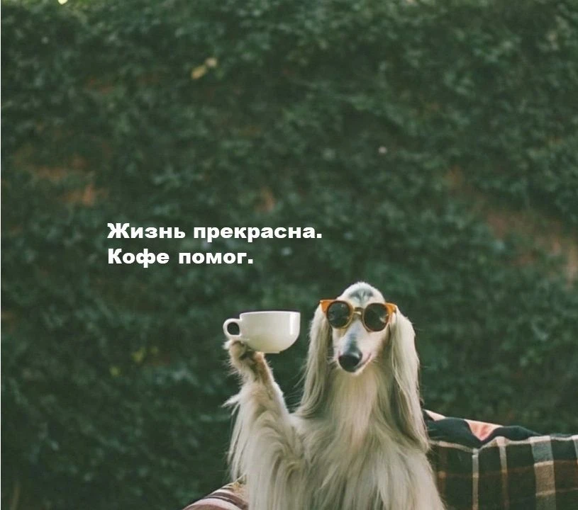 четверговый кофе говорят к деньгам
