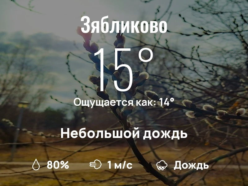 Что с погодой в Зябликово?