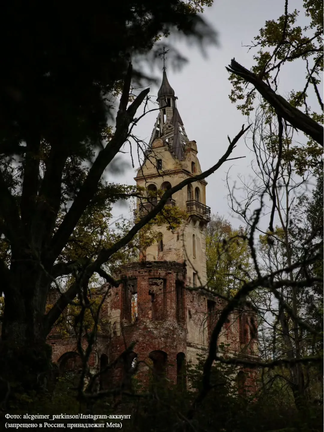 Замок Рапунцель в Новгородской области 🏰  Так его прозвали из-за башенки, которая до сих пор виднеет