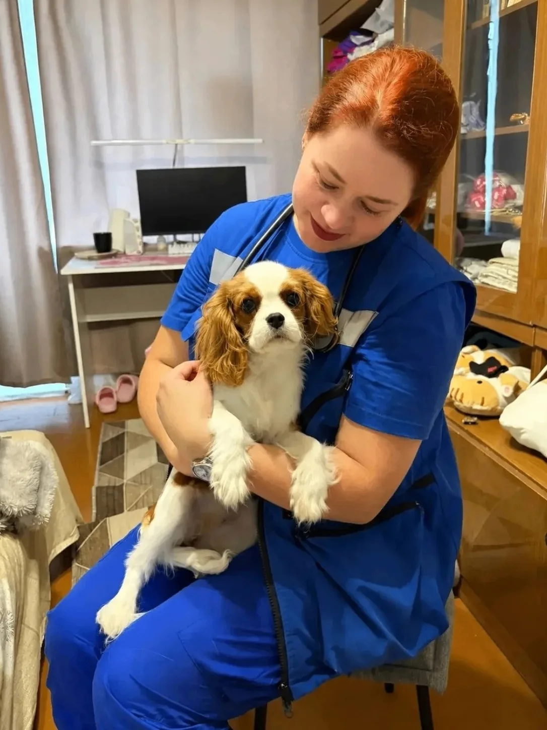 🐕‍🦺 Скоропомощные собаки и другие животные.