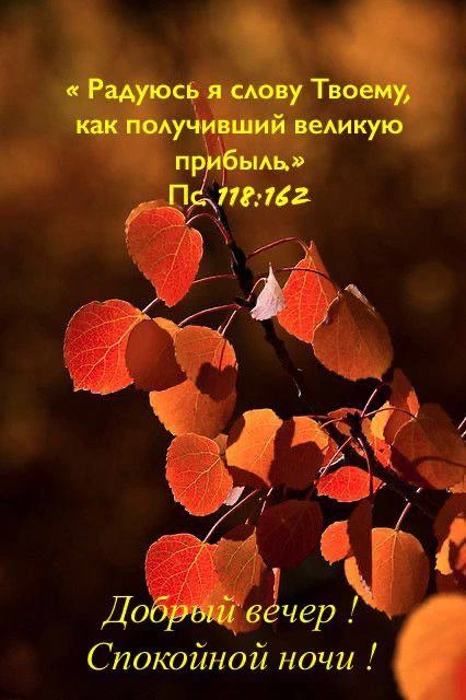 ❤️❤️❤️❤️Открытки❤️❤️❤️❤️