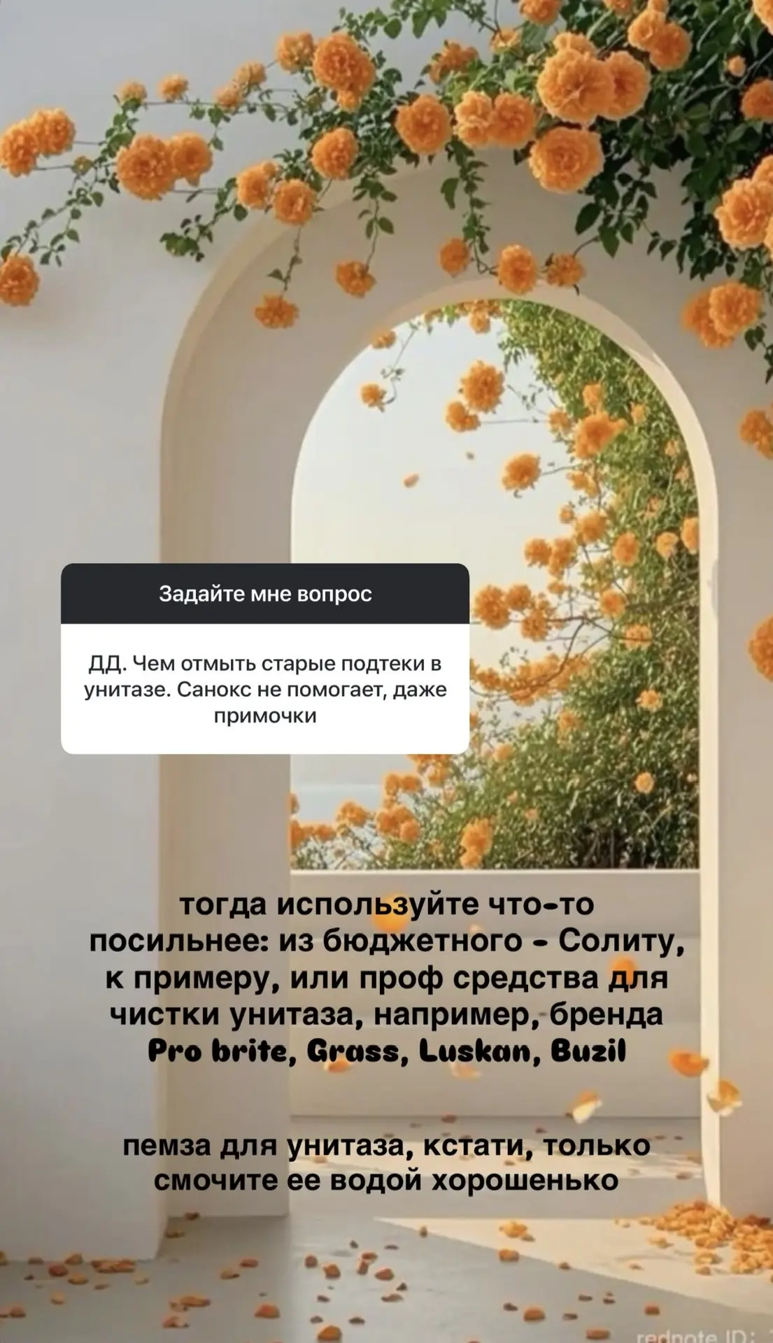 Изображение 8 к публикации «Лёгкий быт с Аидой»