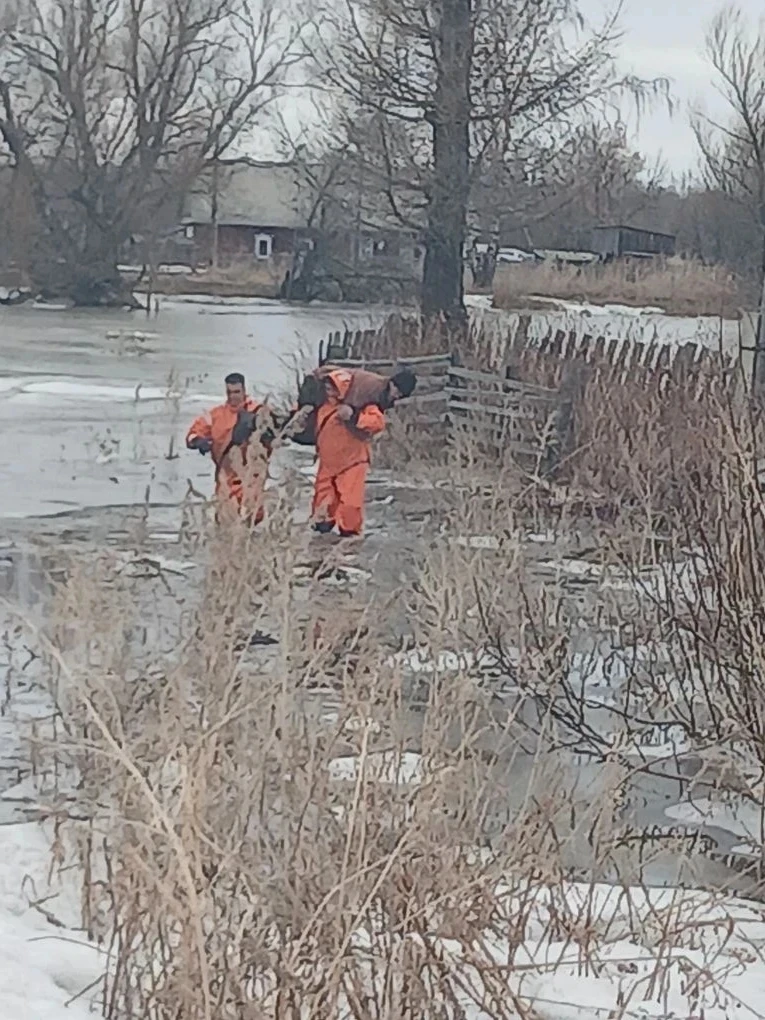 Паводок в Тальменском районе: ‎ ‎Обстановка остается напряжённой.  В селе Шипицино подтапливает домо
