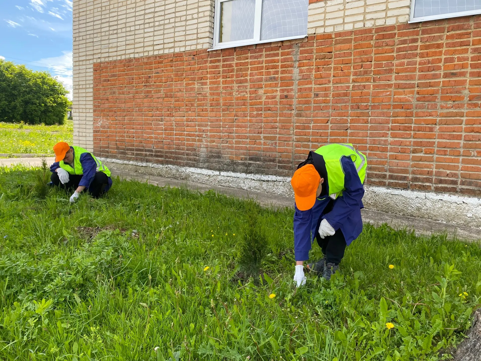 🌳✨ Учащиеся из лагеря труда и отдыха провели субботник! ✨🌳