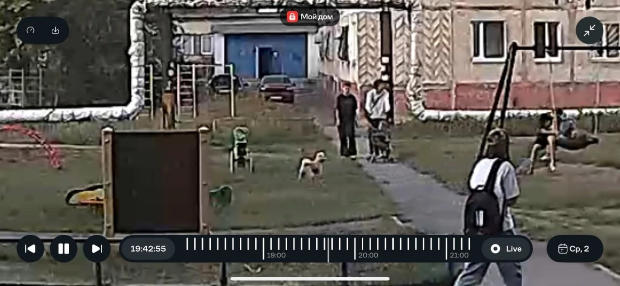 Нонсанс! Взрослые присваивают детские игрушки.