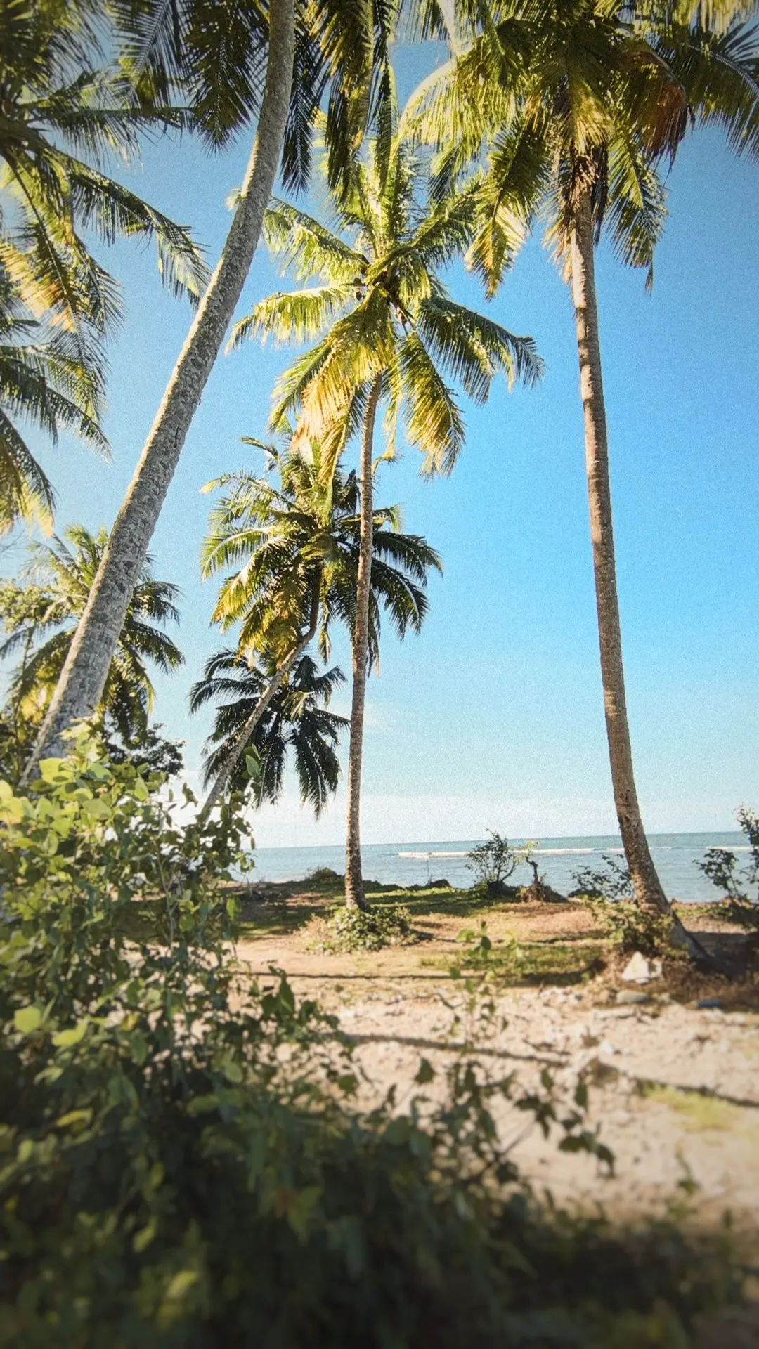 🏝️☀️Выгоднее, чем на букинге! Таиланд на двоих - считаю  проживание с завтраками на 11...