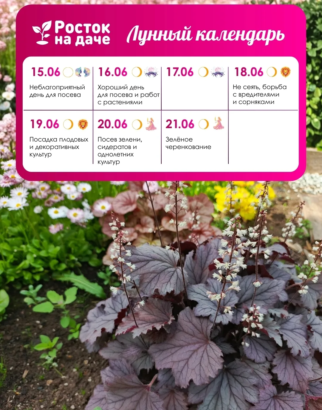 📝ЛУННЫЙ КАЛЕНДАРЬ. ИЮНЬ🌸
