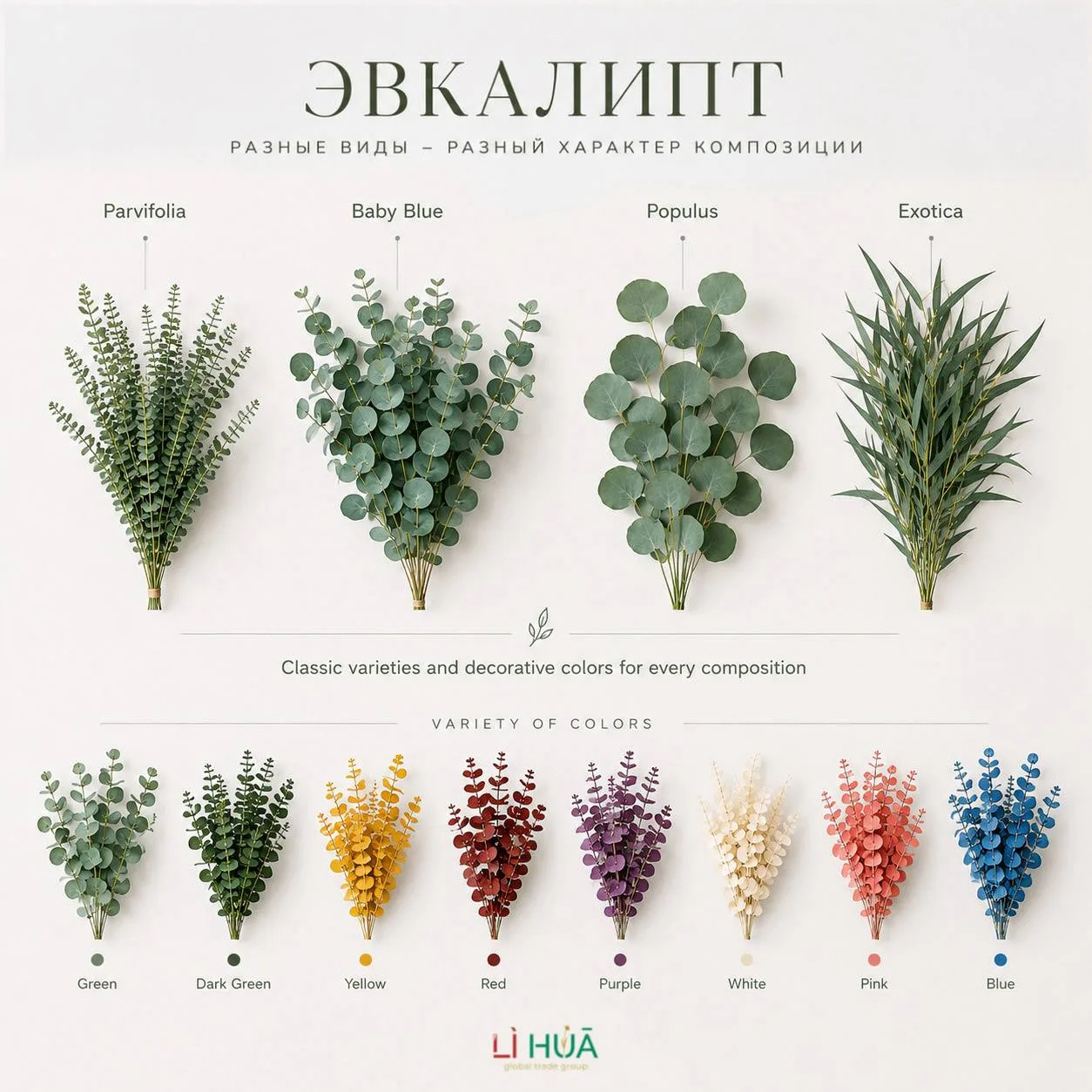 🌿 Думаете, эвкалипт бывает только один?