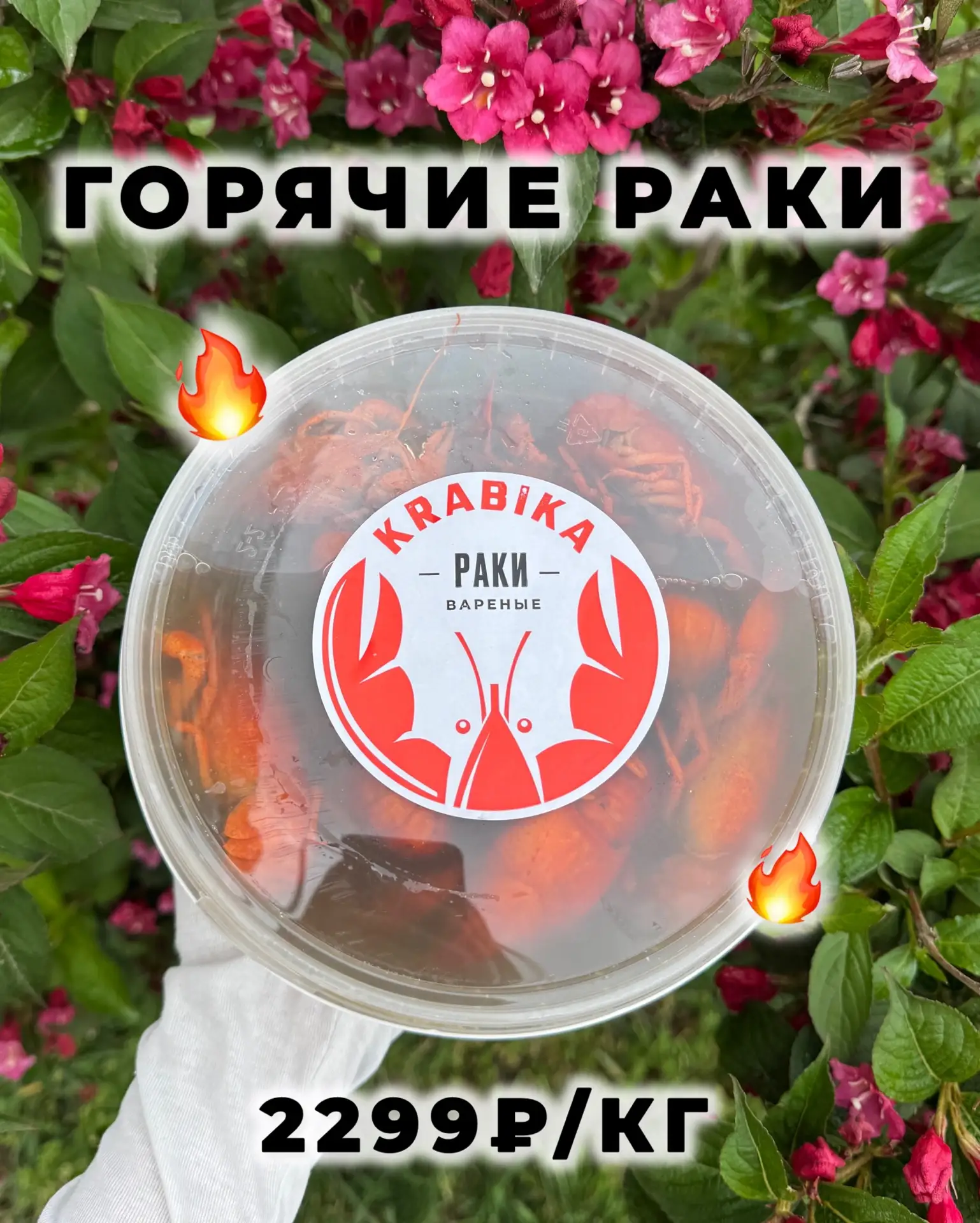 🦞🦞РАКИ🦞🦞  Уже на пути во все магазины сети 🎉Как всегда горячие, фирменные, отличные по соли и идеаль
