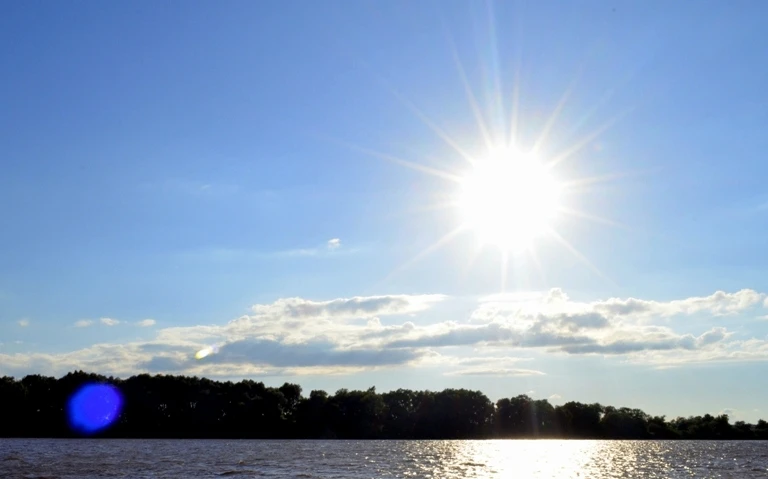 ☀️ Жара в Новгородской области пока не планирует отступать 👉 https://vk.cc/cZuX2T