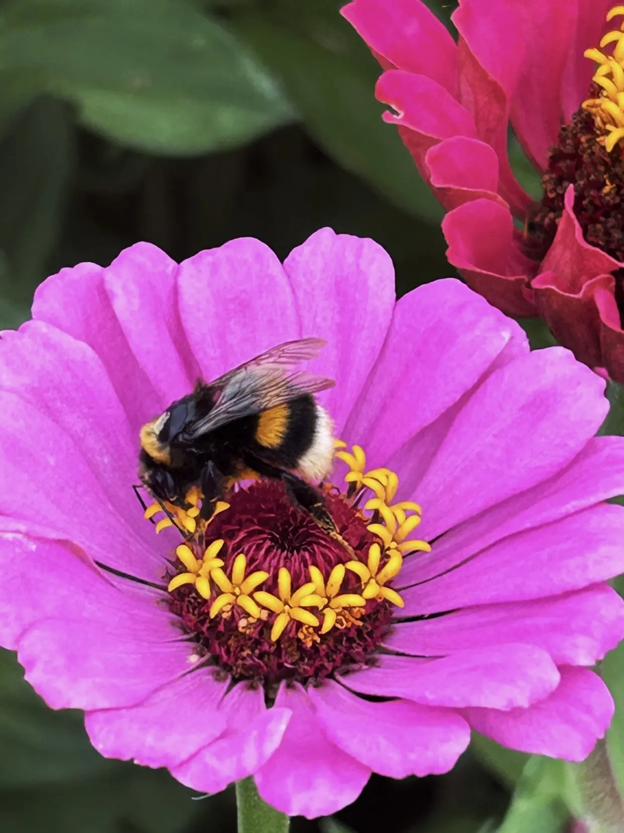 Доброе утро, верхнеуслонцы🐝
