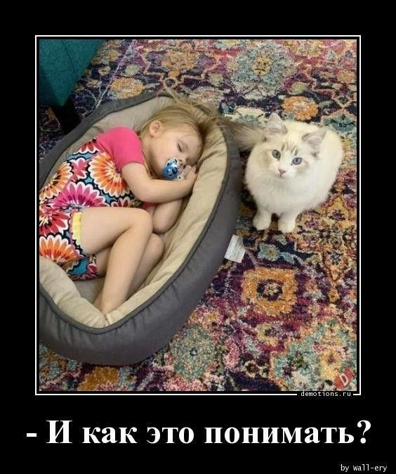 #юмор