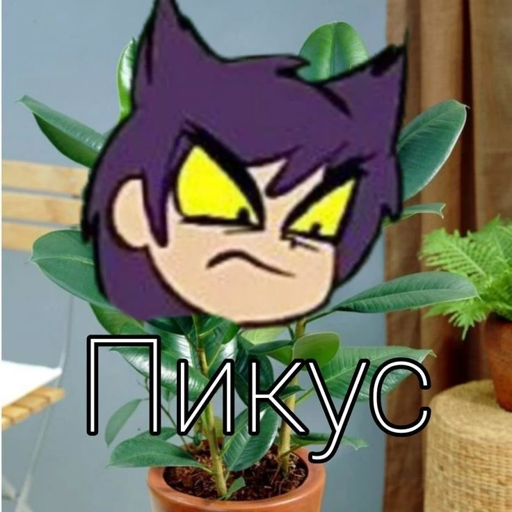 Немного мемов 😎