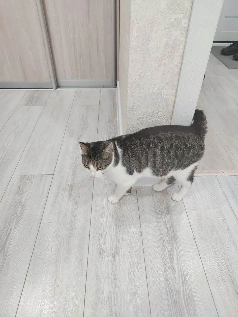 #из_нового_дома