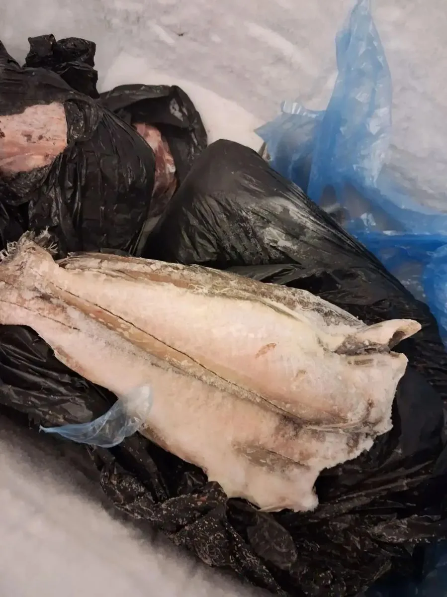 Пыль над кастрюлями и продукты без маркировок обнаружила проверка в детсадах Петушинского района
htt