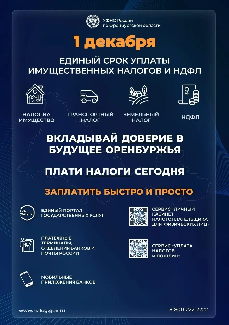 О сроках уплаты имущественных налогов
