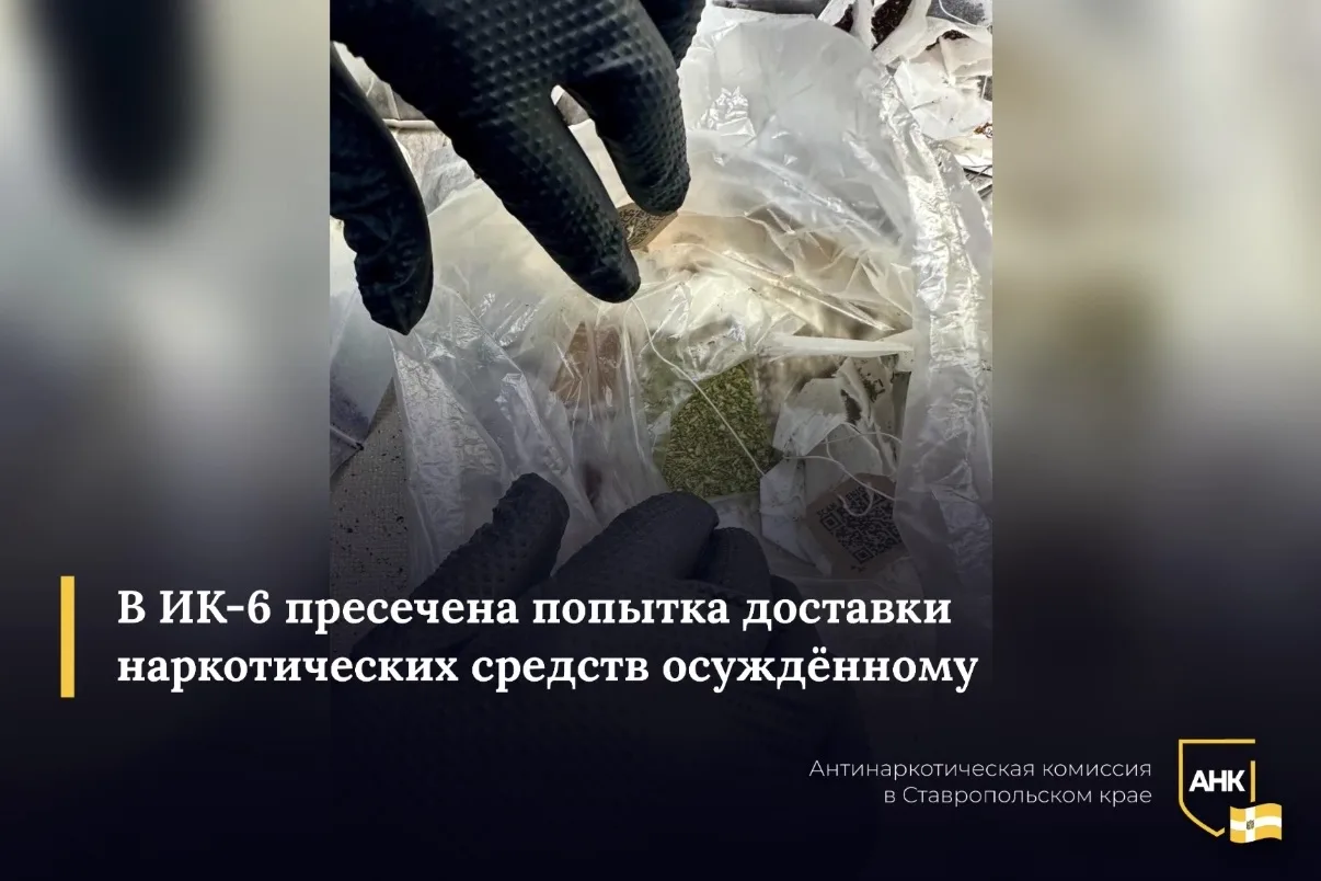 Текущая неделя богата на чайный «урожай». Так, в исправительной колонии №6 УФСИН России сотрудники о