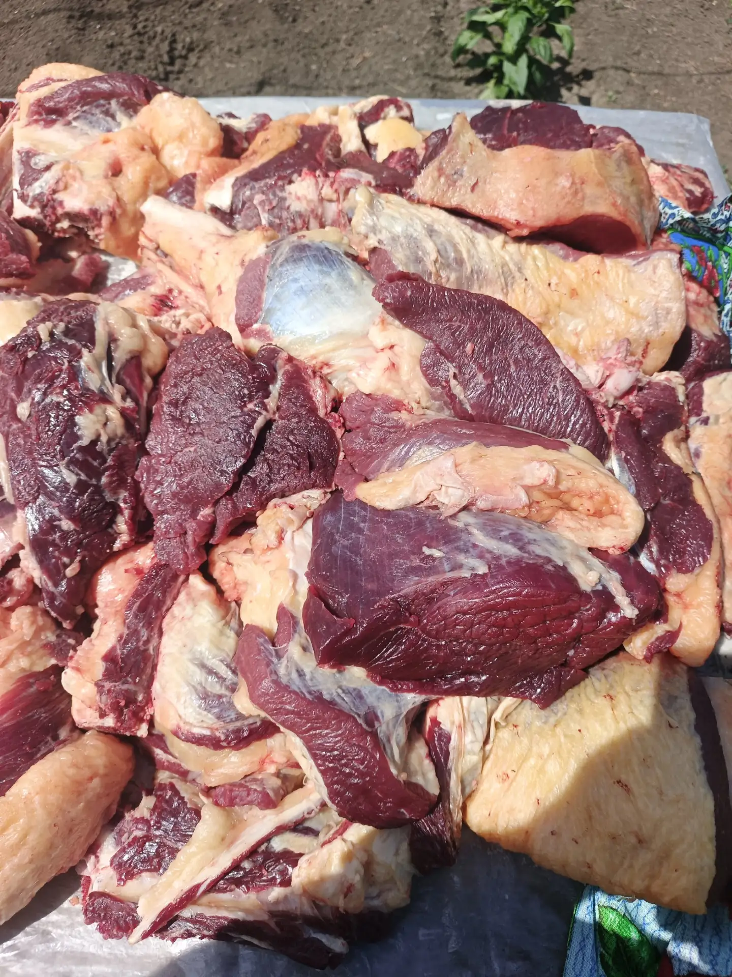 Здравствуйте продам мясо говядины по казахский забой по набору 89228189480