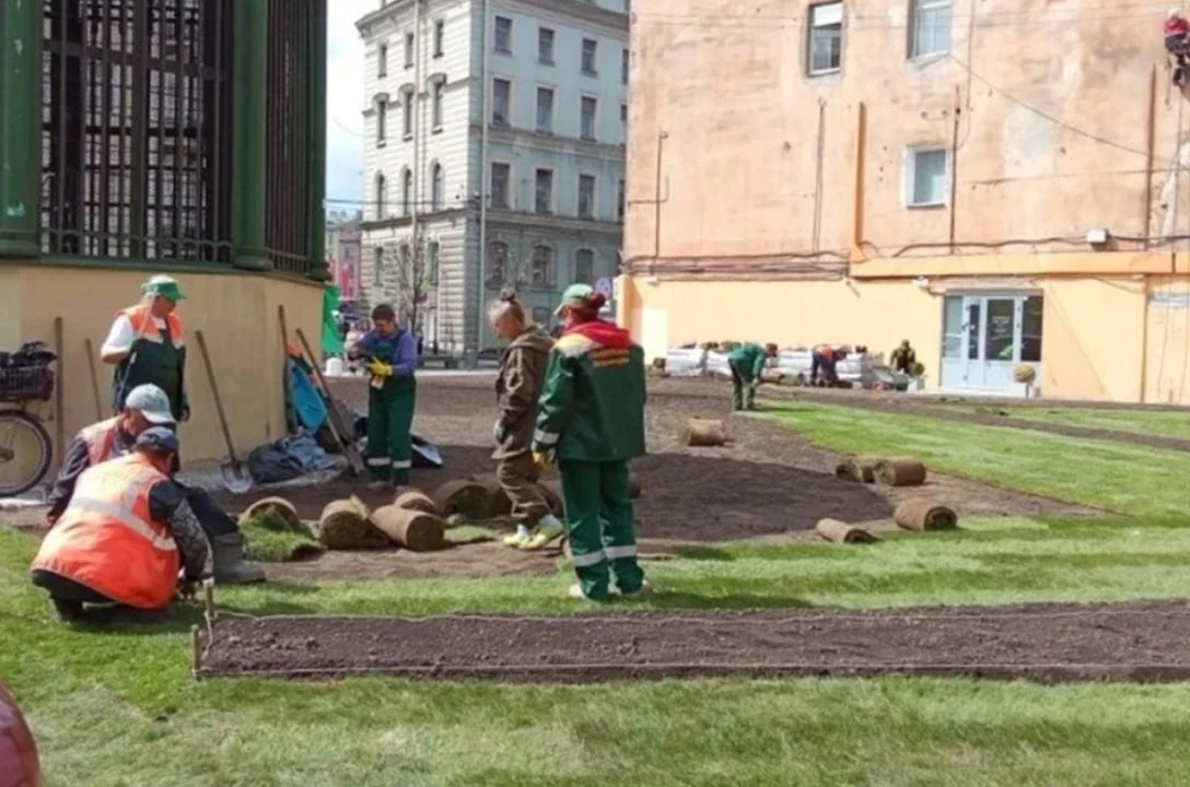 🌳 Новый цветущий сквер появится в самом сердце Петербурга. Прямо в центре города, у дома 8 по 1-й С