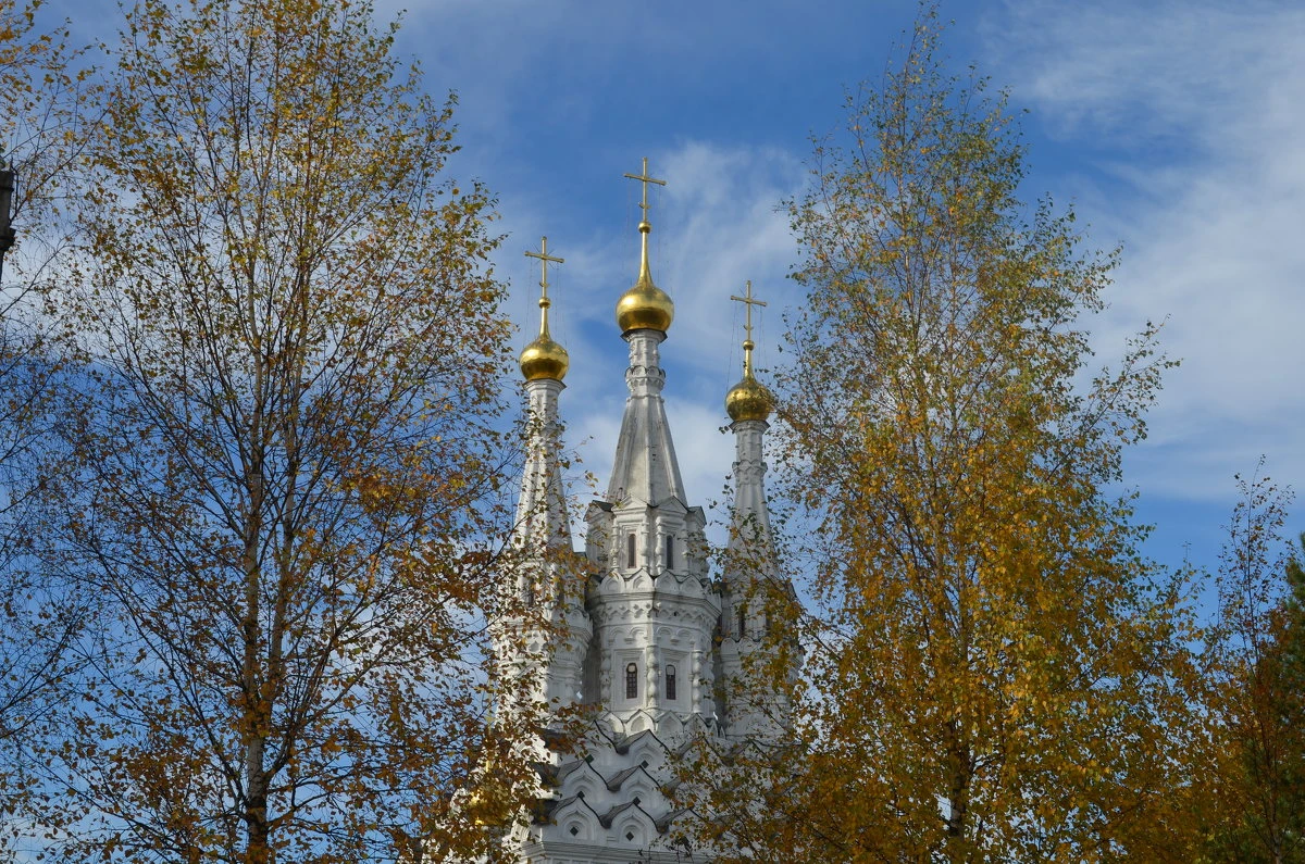 Дорогие братья и сёстры!