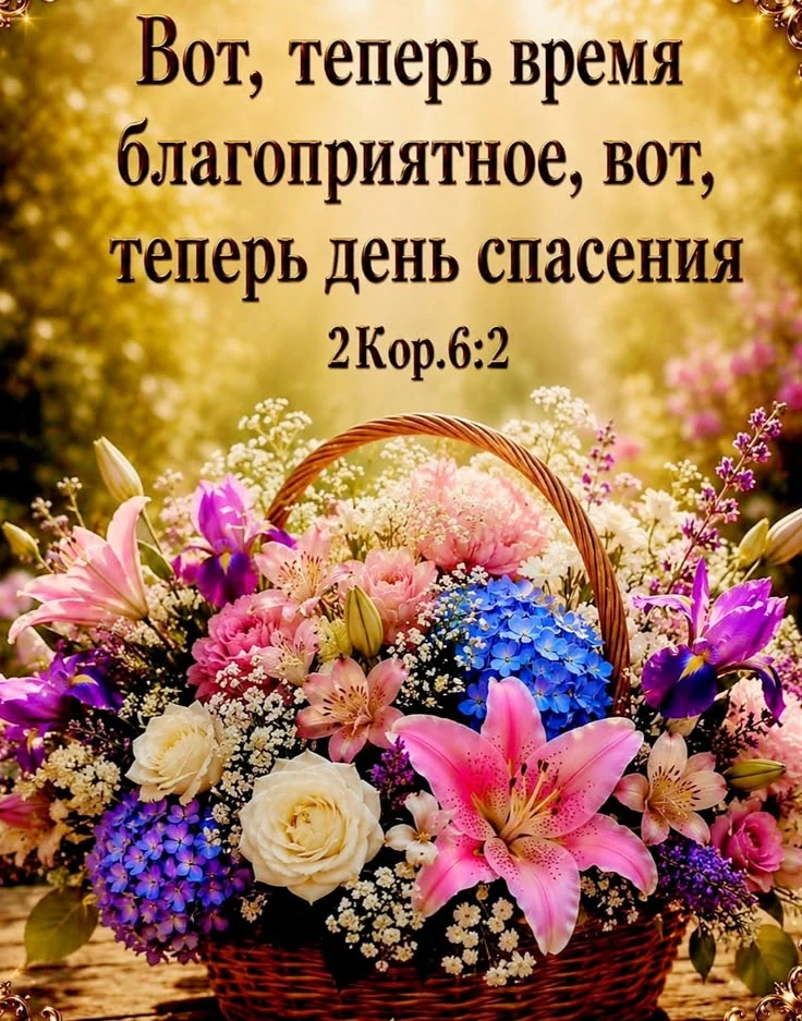 👉 Наши каналы. Подписаться.