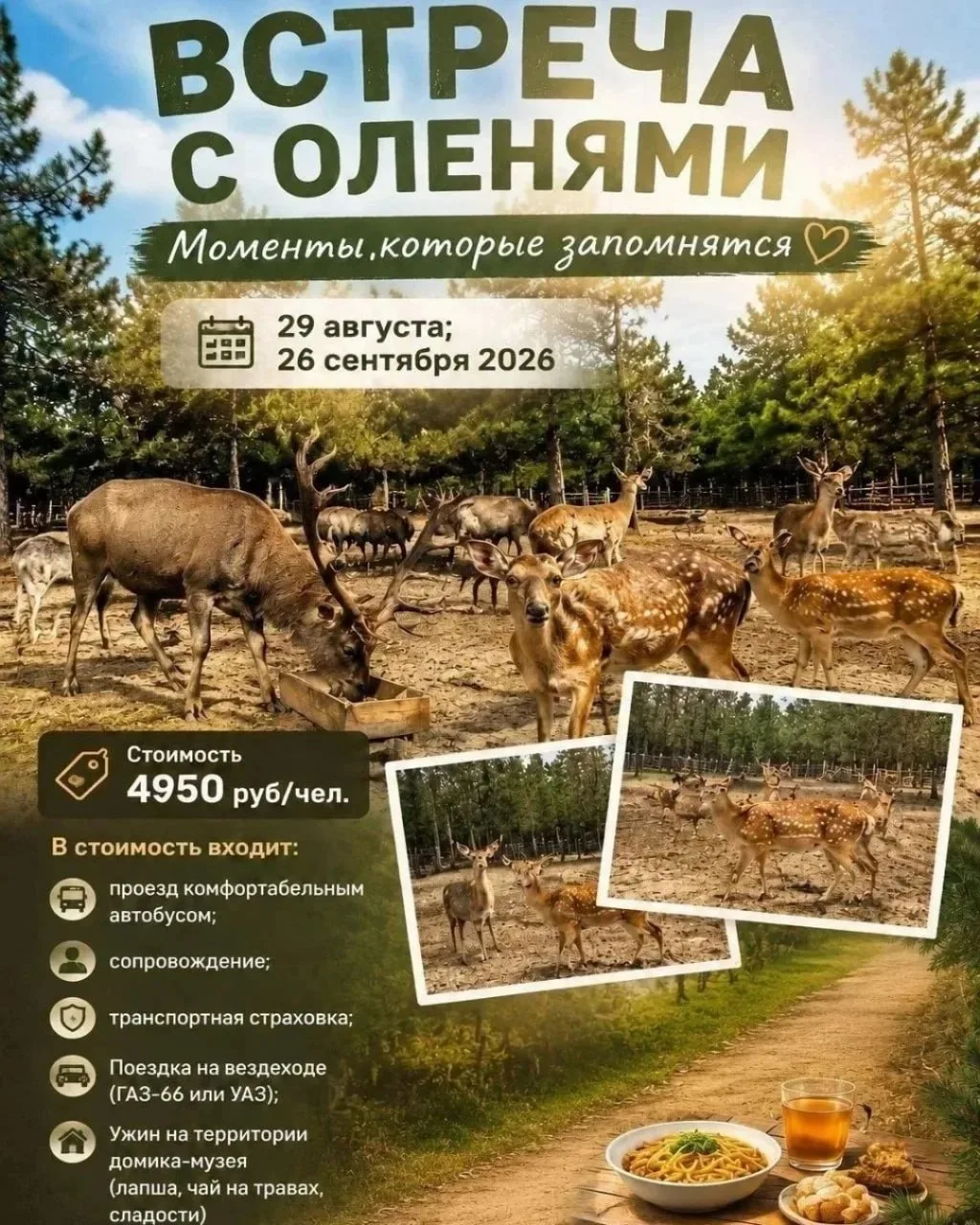 🌲 Встреча с оленями: Моменты, которые запомнятся