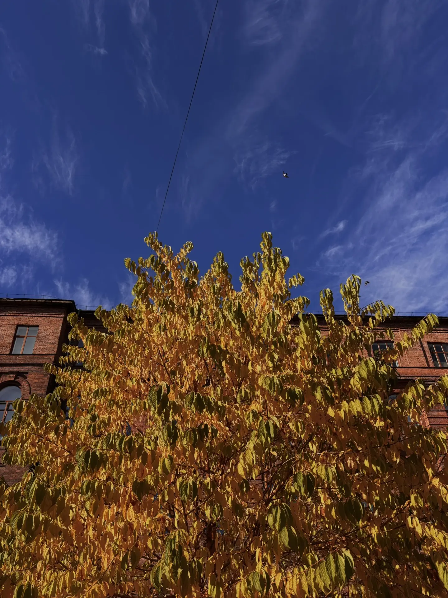 Оттенки осени 🍂🤩