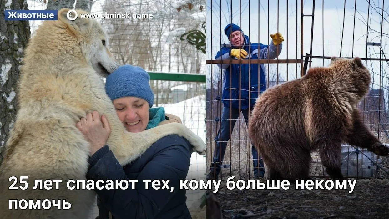 25 лет спасают тех, кому больше некому помочь
