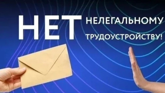 Нелегальная (теневая) занятость - это выполнение трудовых обязанностей в обход законода...