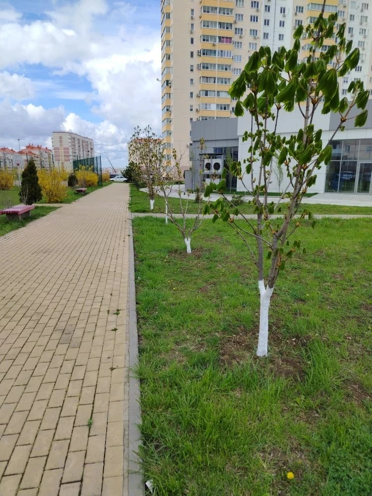 🌷 Уважаемые жители наших  домов по адресу : шоссе  Супсехское ✨  Напоминаем, что уборка территории п