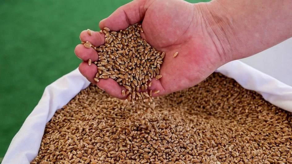 Россия увеличила экспорт продукции АПК в Узбекистан почти в 1,5 раза