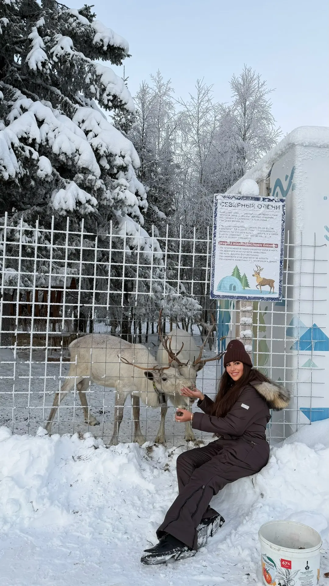 С наступившим 2026 годом и светлым Рождеством, мои дорогие! ✨❄️  Я начала этот год с того, что перес