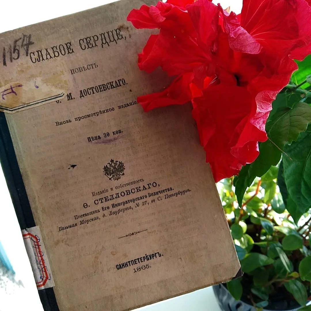 🎉 Поздравляем и принимаем поздравления!