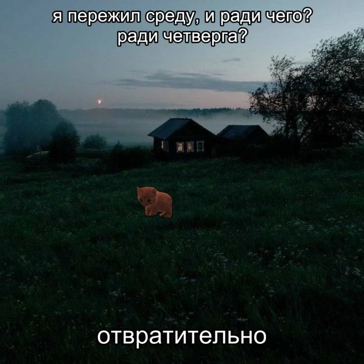 8 ОКТЯБРЯ, четверг, Ставрополь
