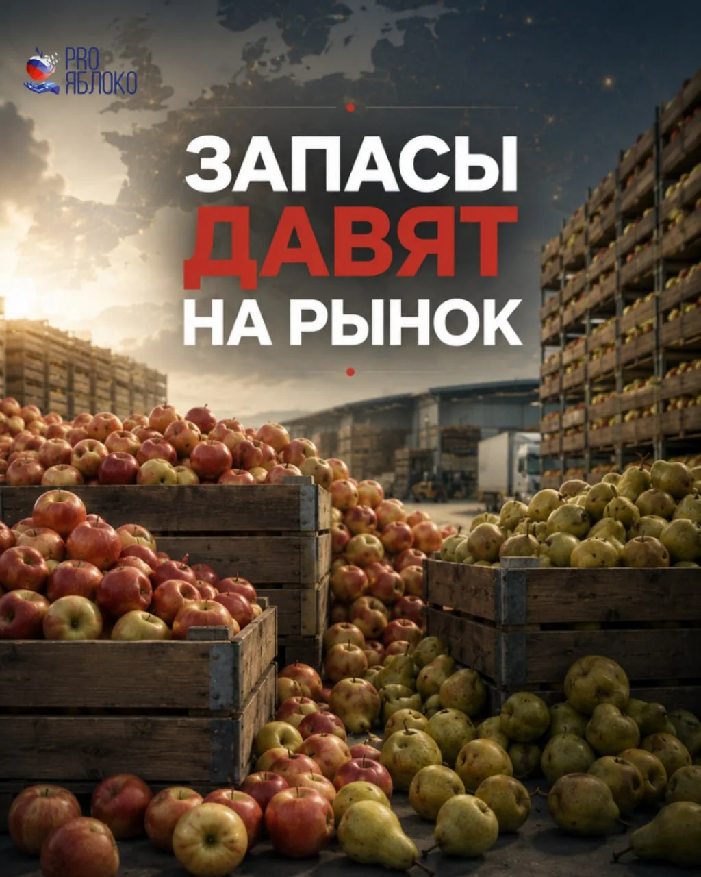Запасы яблок и груш в Европе выше ожиданий