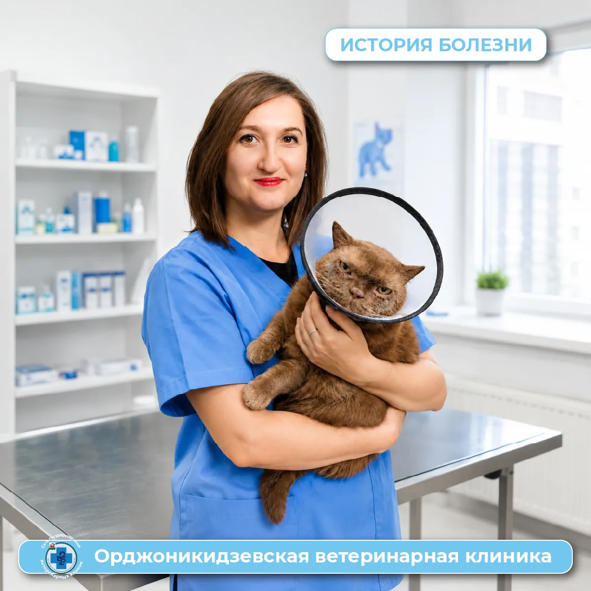🐱 3 месяца слёз позади: Мурза здоров и счастлив!