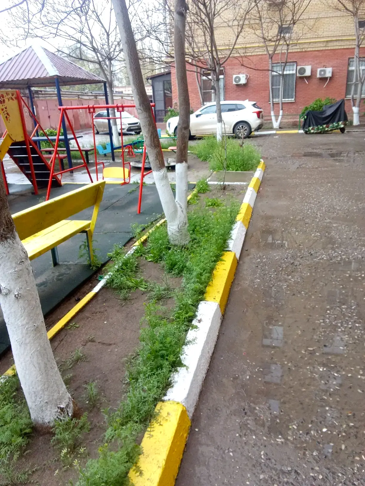 К новости «🌿 Свежий газон и порядок во дворе!»
