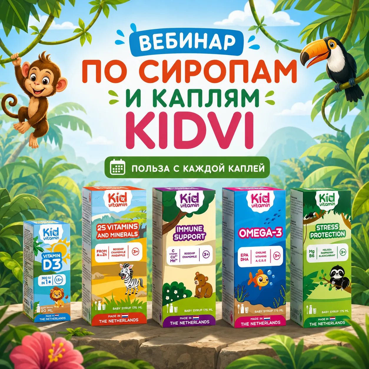 🎓 Вебинар !