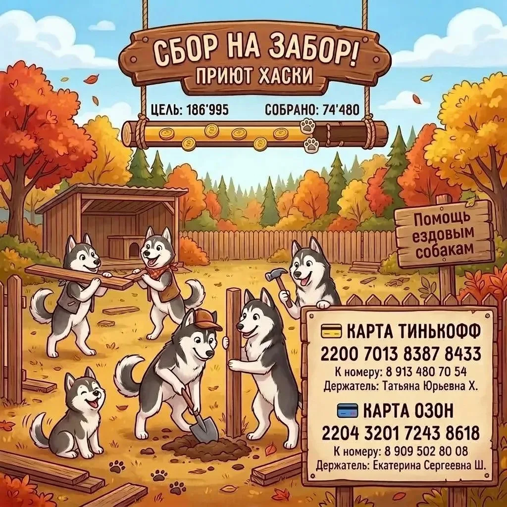 🐾 Идём дальше.