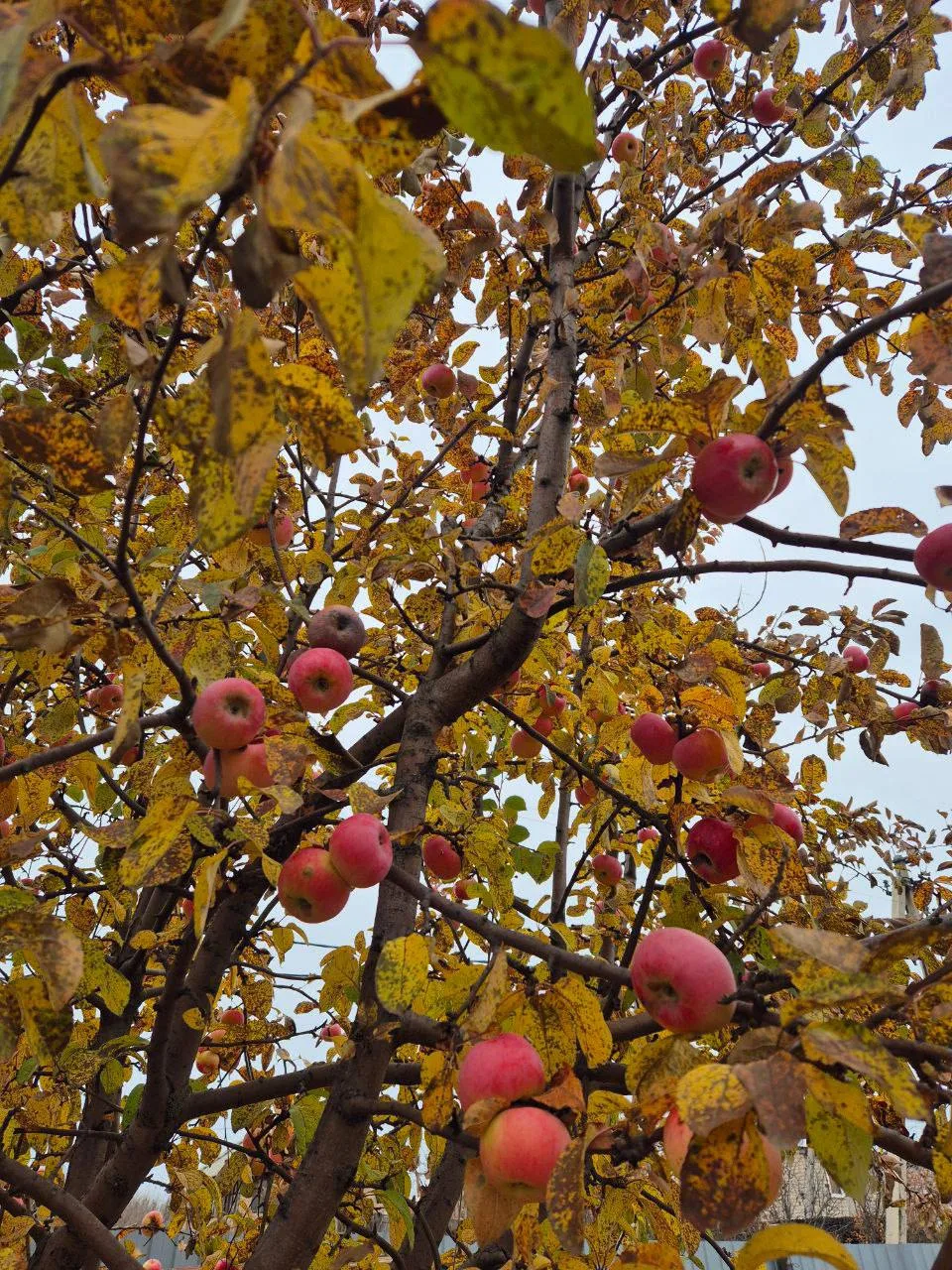 🍂Погода в Оренбуржье на 3 октября