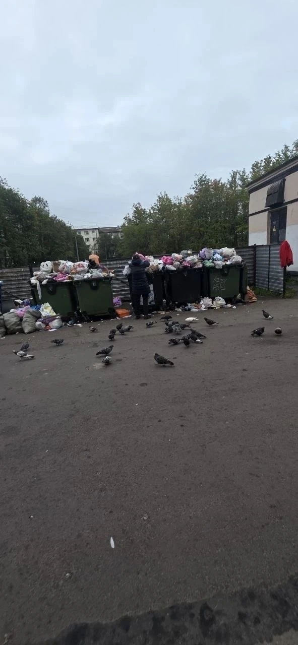 🫠Сентябрь во дворах Ленинского начался со сбоя по вывозу мусора.